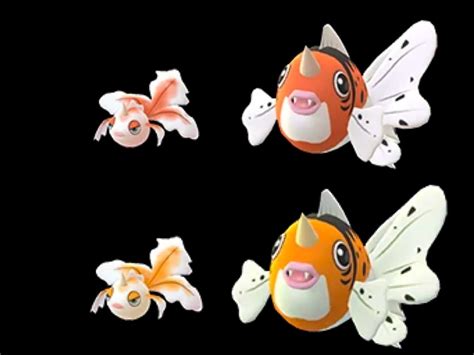 evolution of goldeen|goldeen evolution pokemon sword.